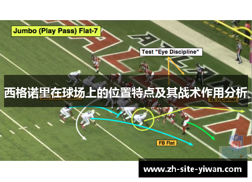 西格诺里在球场上的位置特点及其战术作用分析